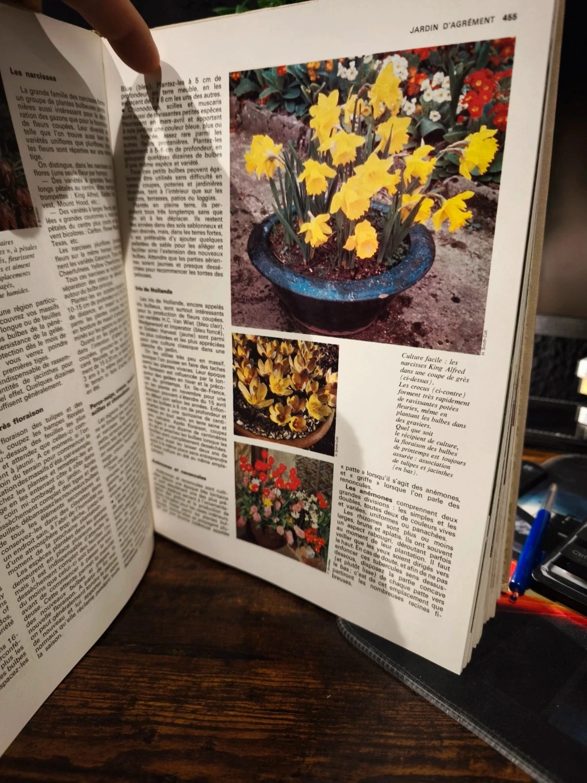 Les doigts vert tome 2 – photo 3